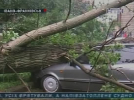 На Прикарпатье произошел мощный ураган