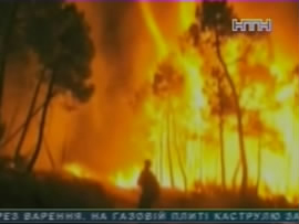 Лесные пожары полыхают на юге Европы