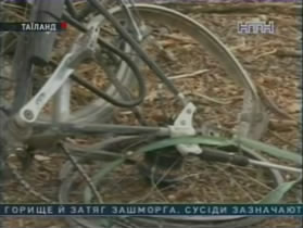 Британские путешественники погибли в Таиланде