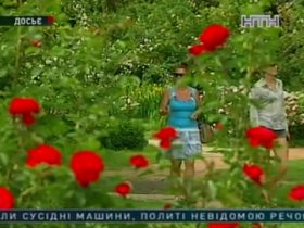 В столичных парках вскоре появятся камеры видеонаблюдения