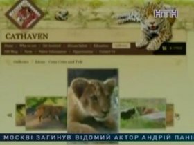 В калифорнийском заповеднике лев убил человека