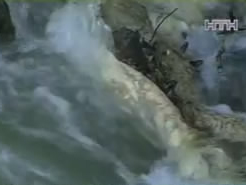 На Прикарпатті невідомі скидають у річку тельбухи