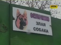 В Краматорске бродячие собаки загрызли женщину