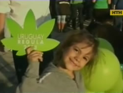 Уругвай запровадив державну монополію на марихуану