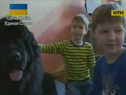 Чотирилапі педагоги