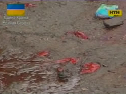 В Миргороде малолетние садисты убили двоих