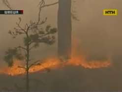 У Швеції палають ліси