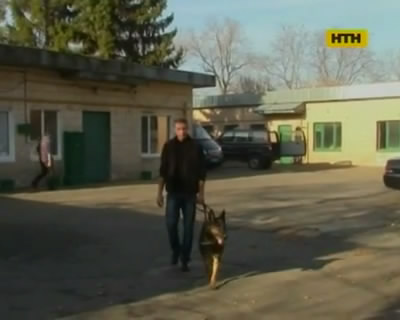 Пес-следопыт спас старика