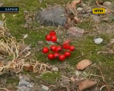 Харьковчанка выпрыгнула из окна, привязав к себе ребенка
