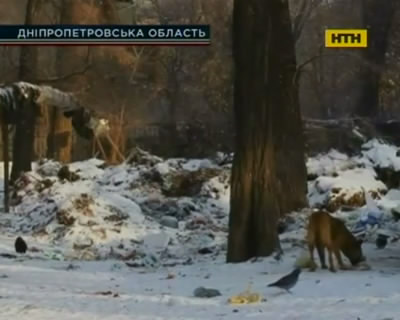 Массовое убийство в Кривом Роге