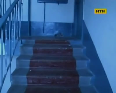 Последнюю точку в семейных ссорах поставила граната