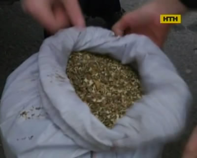 В Черкасской области изъяли рекордный груз мака