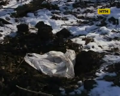На Житомирщині породілля закопала живе немовля