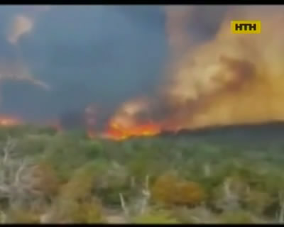 В Аргентине лесные пожары угрожают людям