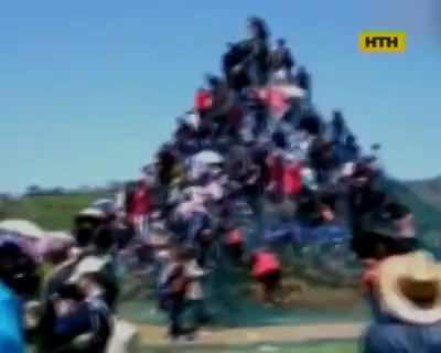 Посетители праздника цветов пострадали в Китае