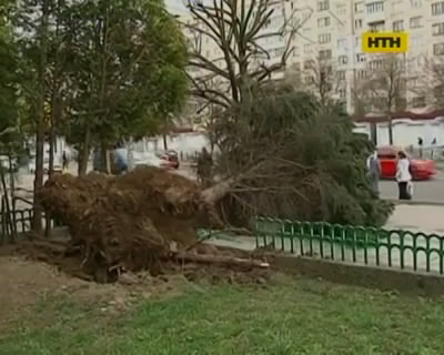 Ураганы натворили бед по всей Украине