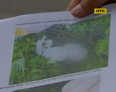 Жительница Киевской области утопила новорожденного