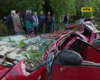 В столице сильный ветер и деревья отняли две жизни