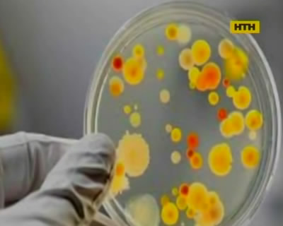 Лето - пора кишечных инфекций