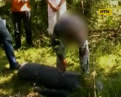 На Прикарпатье задержали убийцу девочки