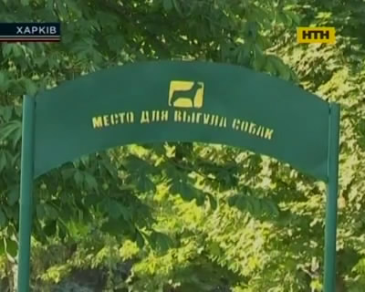 Кто охотится на четвероногих в Харькове?