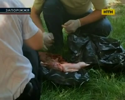В Запорожье нашли в помойке мертвого младенца