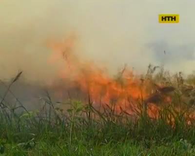 На Ровенщине бабушка жгла стерню, но обгорела сама и едва не сожгла село