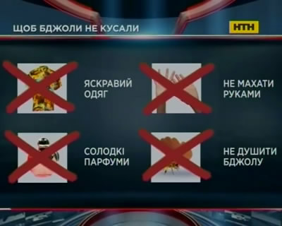 Такі корисні та небезпечні бджоли