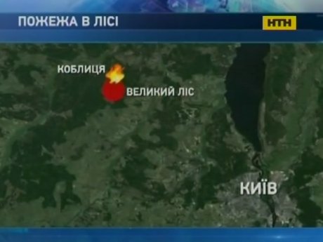 На Київщині третю добу гасять лісову пожежу