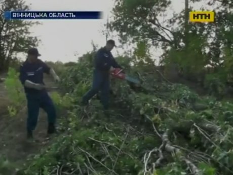 Ураган натворил бед в Винницкой области