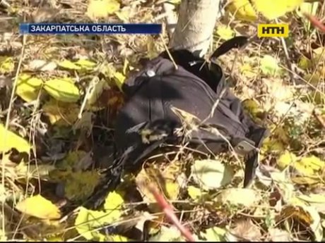 Закарпатець підірвався на міні, збираючи гриби
