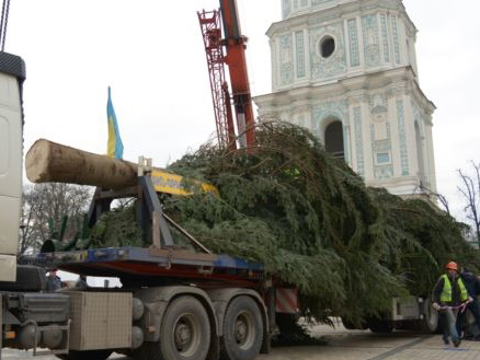 В Киев прибыла новогодняя елка