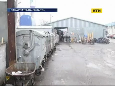 На Закарпатті циганка вбила та викинула новонароджену дитину