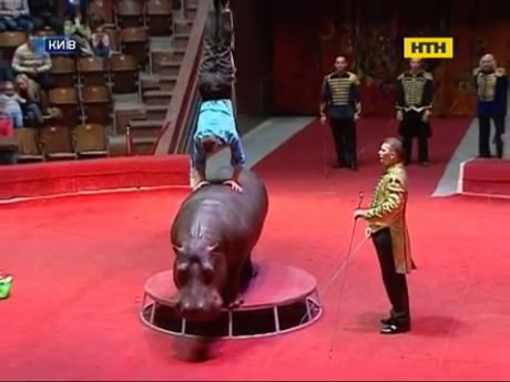 Столичний цирк обіцяє несподіванки