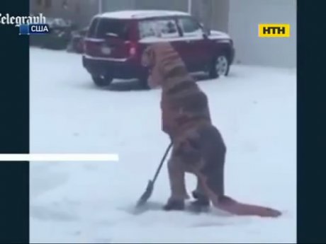 Американці в негоду не втрачають оптимізму