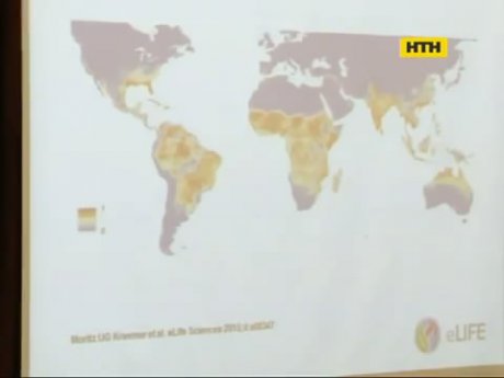 ВООЗ прогнозує нову страшну епідемію