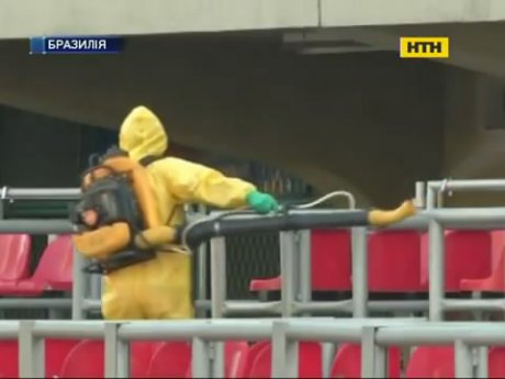 Изобрели метод преодоления лихорадки Зика