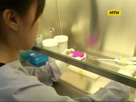Лихоманка Зіка загрожує проведенню Олімпіади