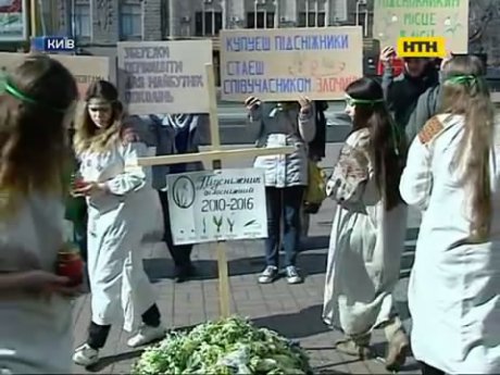 Акцию в защиту подснежников провели на Крещатике