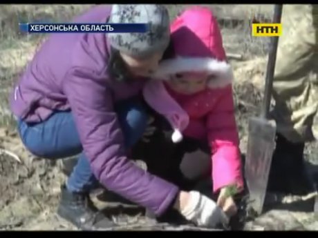 Вирубування лісів на Херсонщині веде до екологічного лиха