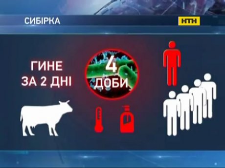 На Харківщині - загроза епідемії сибірської виразки