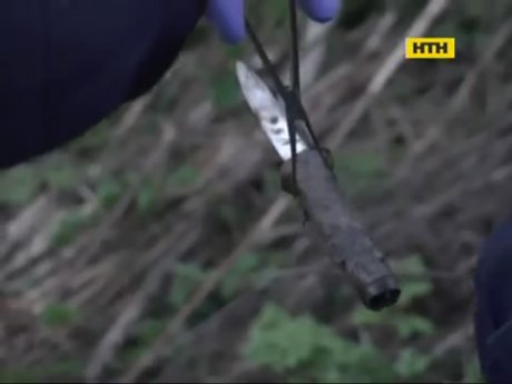 На Закарпатті молодик вбив жінку за зауваження