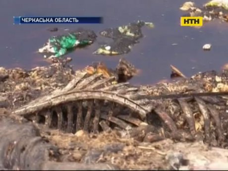 Село на Черкащині опинилося на межі екологічної катастрофи