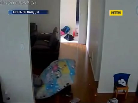 В Новой Зеландии ищут вора в одеяле