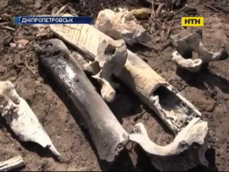 У Дніпропетровську вбивця дві доби спалював розчленовані тіла своїх жертв