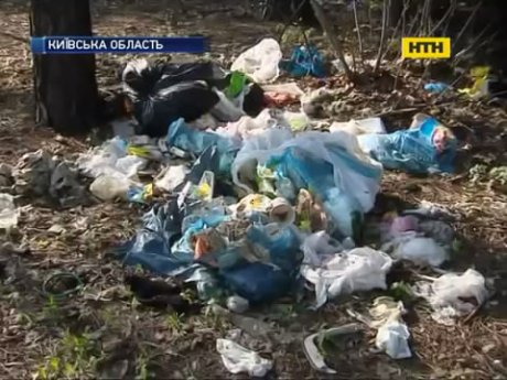 Сміття заполонило узбіччя столичних трас
