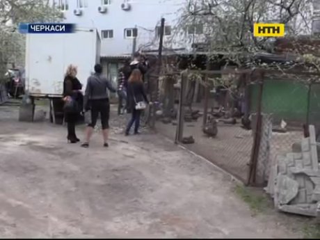Черкащанин побудував птахоферму під вікнами багатоповерхівки