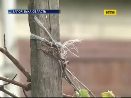 На Запоріжжі трагічно загинула дівчинка