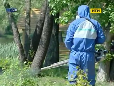Озера столицы готовят к пляжному сезону