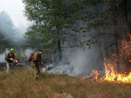 На Вінниччині оголосили війну відпочивальникам-паліям